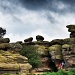 Brimham Rocks by jesperani