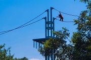 29th Aug 2012 - High Wire Act