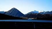 29th Aug 2012 - Wild NZ
