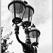 Streetlamp by carolmw