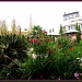 Kensington roof garden by busylady