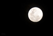 30th Aug 2012 - Almost Full Moon