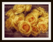30th Aug 2012 - armful of roses (in the style of pierre-auguste renoir)