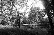 31st Aug 2012 - Get Pushed Challenge - Landscape - B&W         (If you have a moment please view large)