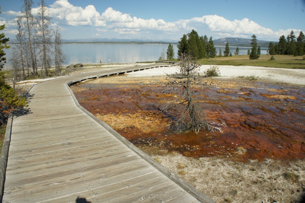 walkway along the lake in Yellowstone by dmdfday