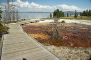 29th Aug 2012 - walkway along the lake in Yellowstone