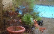 31st Aug 2012 - Rainy Day