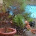 Rainy Day by salza