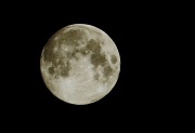 31st Aug 2012 - Full Moon