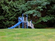 31st Aug 2012 - Forest Playground