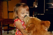 29th Aug 2012 - 242 Puppy kisses