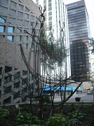 31st Aug 2012 - The Spaghetti Tree