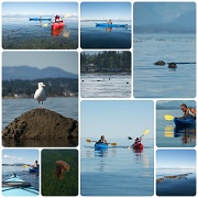 31st Aug 2012 - Our first real kayaking adventure