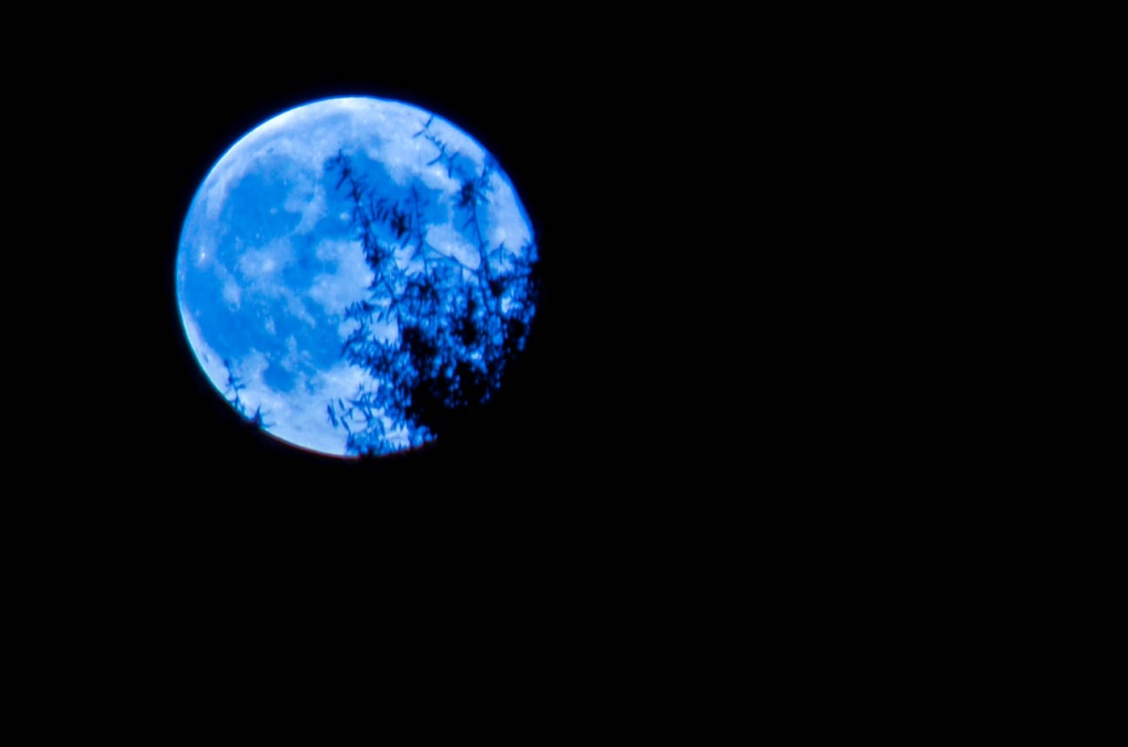 Once In A BLue MOon by lesip