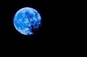 31st Aug 2012 - Once In A BLue MOon