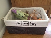 31st Aug 2012 - Puppy's New Toy Box