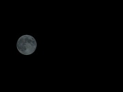31st Aug 2012 - blue moon