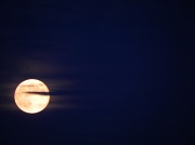 31st Aug 2012 - Blue Moon 