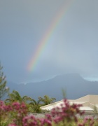 1st Sep 2012 - Rainbow