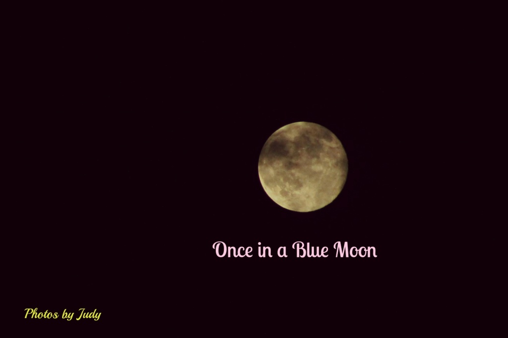 Blue Moon by judyc57