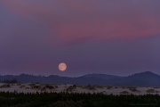 1st Sep 2012 - Blue Moon Rising Over the  Dunes