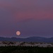 Blue Moon Rising Over the  Dunes by jgpittenger