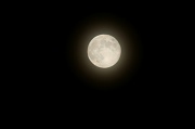 1st Sep 2012 - Blue Moon