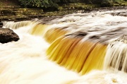 30th Aug 2012 - Aysgarth Falls