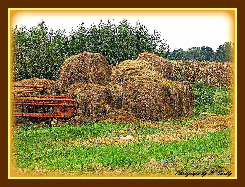 Harvest Time by vernabeth