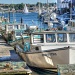 Lobster Boats by lynne5477