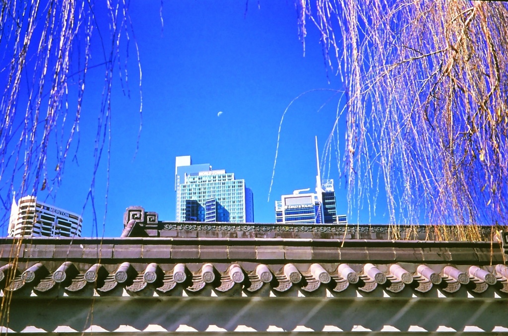 Moon, towers, willows and gables by peterdegraaff