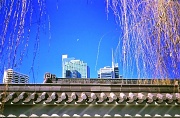 1st Sep 2012 - Moon, towers, willows and gables