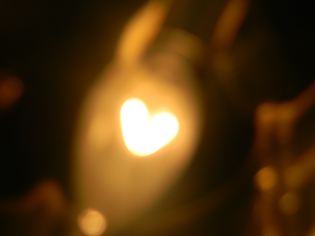 Heart in Light Bulb 9.1.12 by sfeldphotos
