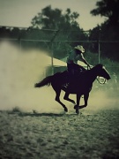 1st Sep 2012 - cowboy