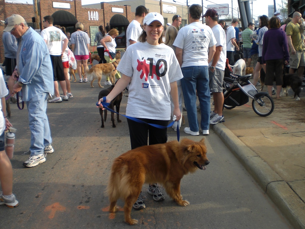 Dogswalk for Cancer by peggysirk