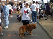 3rd Apr 2010 - Dogswalk for Cancer