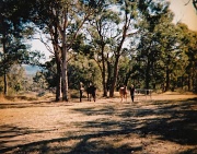 2nd Sep 2012 - Under the gums