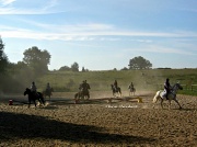 1st Sep 2012 - Repetition for the musical ride