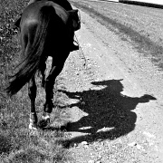 1st Sep 2012 - Rider's shadow
