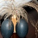 2012 09 01 Emu Eggs by kwiksilver