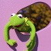 Kermit climbing! by edorreandresen