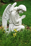 28th Aug 2012 - Angel statue in prayer @ St. Mary's College