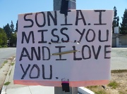 4th Sep 2012 - Where is Sonia?