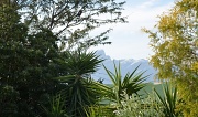 3rd Sep 2012 - Garden View