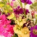 Friday's Birthday Bouquet by filsie65