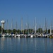 pretty sailboats all in a row by summerfield