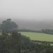 Mist on Dartmoor by daffodill