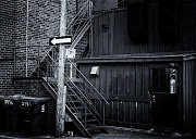 3rd Sep 2012 - Back Alley Blues