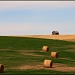 Saskatchewan Fields by kph129