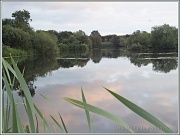 4th Sep 2012 - Reflections At Storton's Pit